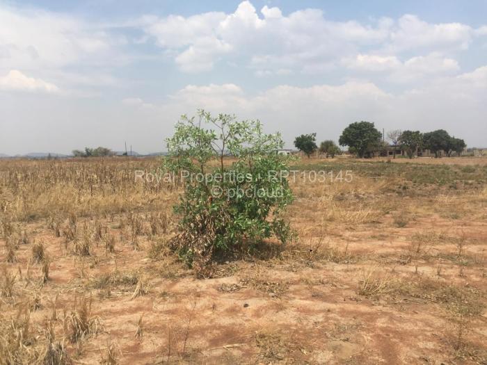 Farm/Plot for Sale in Norton, Norton