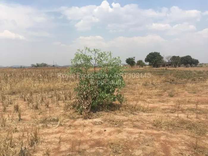 Farm/Plot for Sale in Norton, Norton