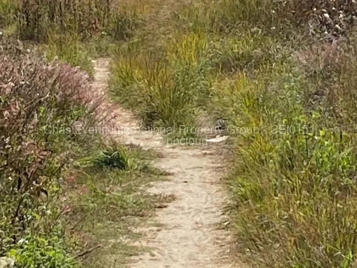 Residential Stand for Sale in Goodhope, Harare