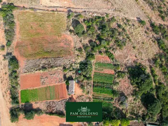 Commercial Stand for Sale in Gumtree, Bulawayo