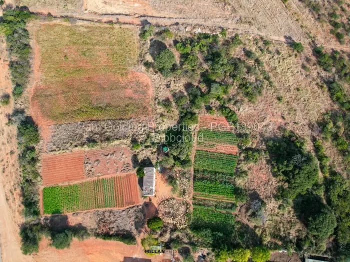 Commercial Stand for Sale in Gumtree, Bulawayo