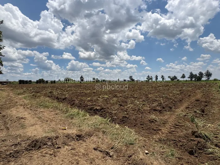Farm/Plot for Sale in Rainham, Harare