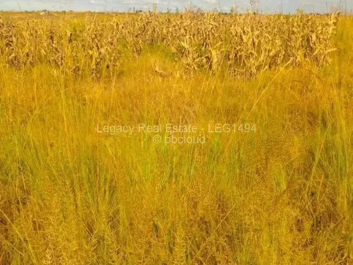 Land for Sale in Donnybrook, Harare
