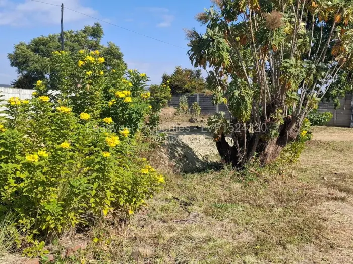 Stand for Sale in Borrowdale, Harare