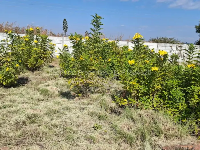 Stand for Sale in Borrowdale, Harare