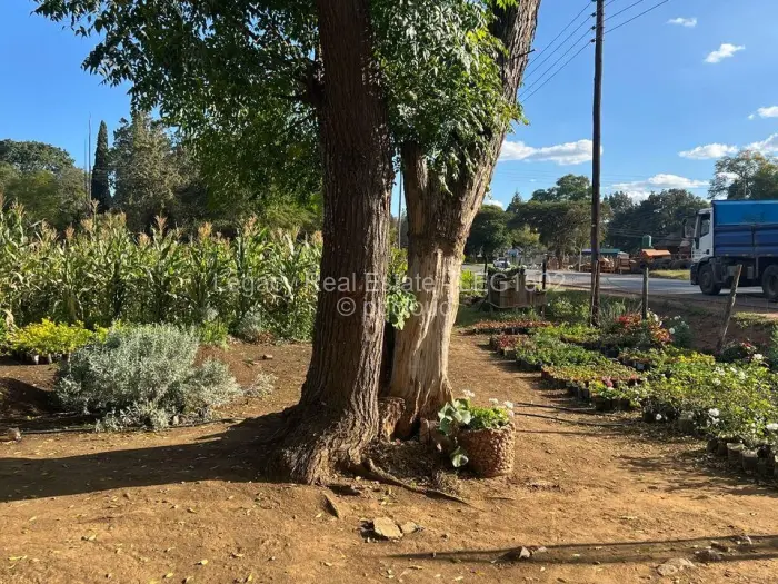 Commercial Property for Sale in Gweru East, Gweru