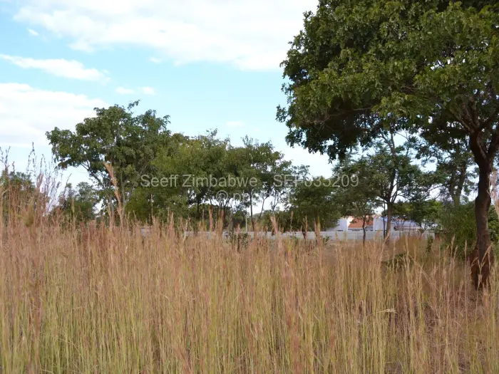 Farm/Plot for Sale in Norton, Norton