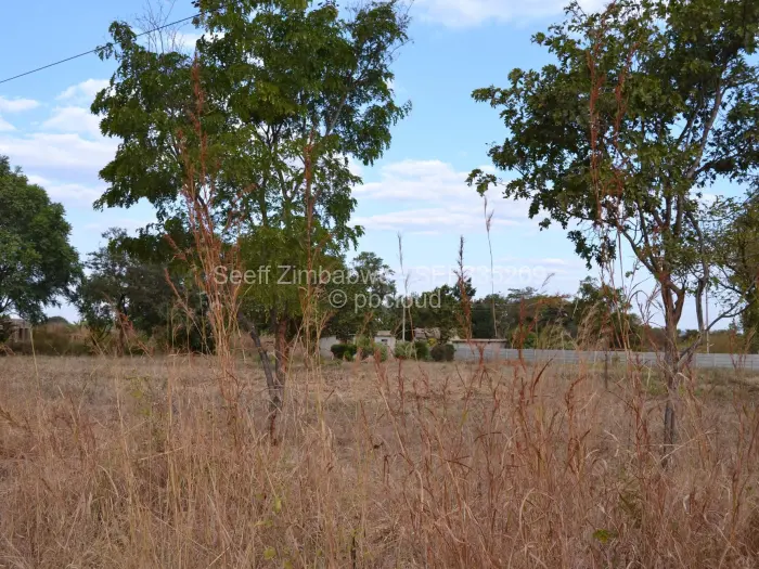 Farm/Plot for Sale in Norton, Norton