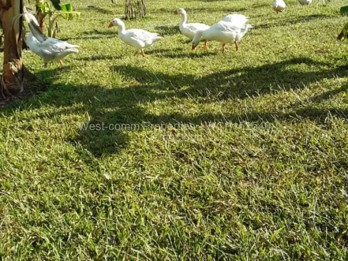 3 Bedroom House for Sale in Binga, Binga