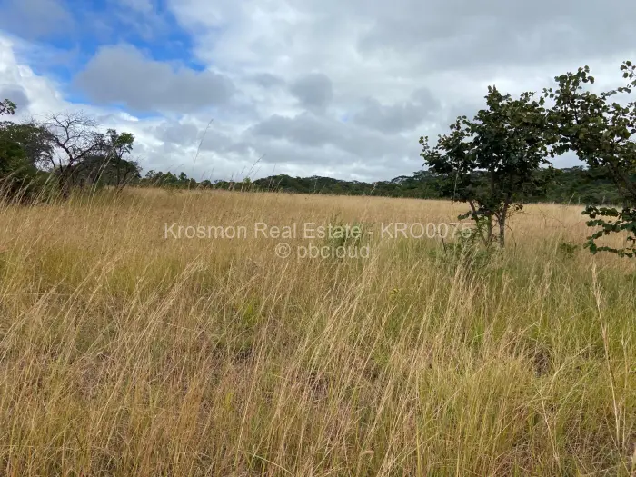 Farm/Plot for Sale in Gutu, Gutu