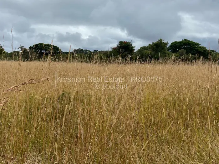 Farm/Plot for Sale in Gutu, Gutu