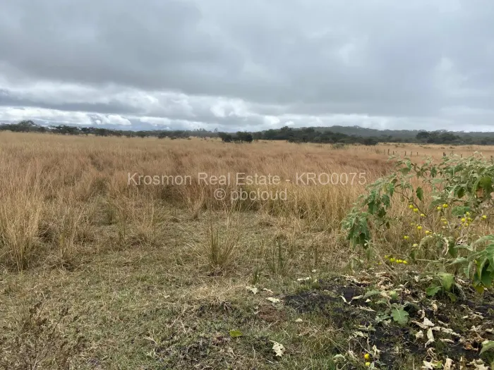 Farm/Plot for Sale in Gutu, Gutu