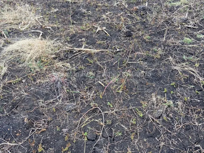 Farm/Plot for Sale in Gutu, Gutu