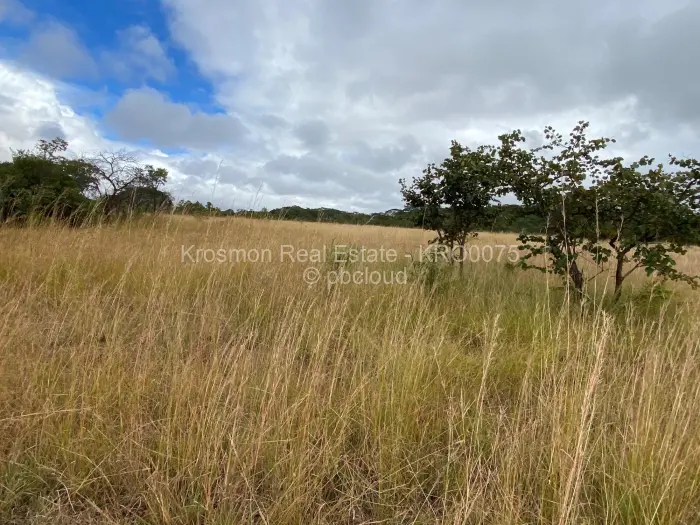 Farm/Plot for Sale in Gutu, Gutu