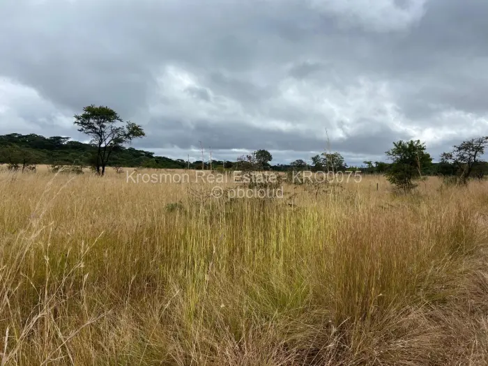 Farm/Plot for Sale in Gutu, Gutu