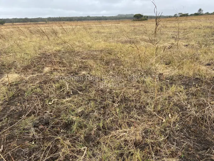 Farm/Plot for Sale in Gutu, Gutu