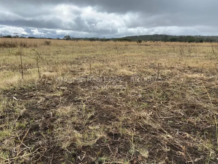 Farm/Plot for Sale in Gutu, Gutu