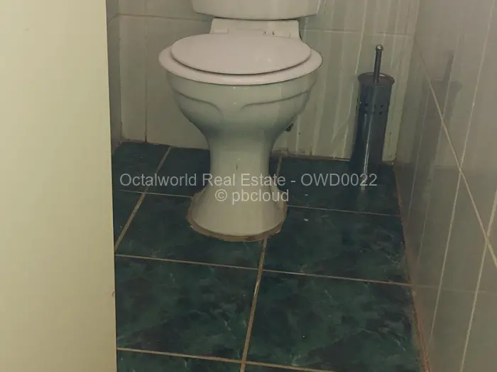 4 Bedroom House to Rent in Marlborough, Harare