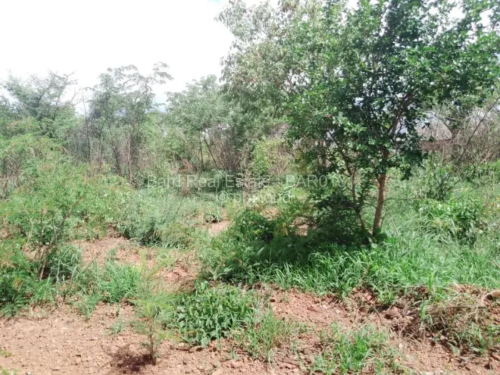 Residential Stand for Sale in Hertfordshire, Gweru