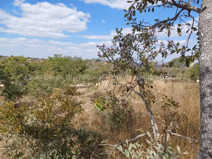 Commercial Stand for Sale in Charlotte Brooke, Harare