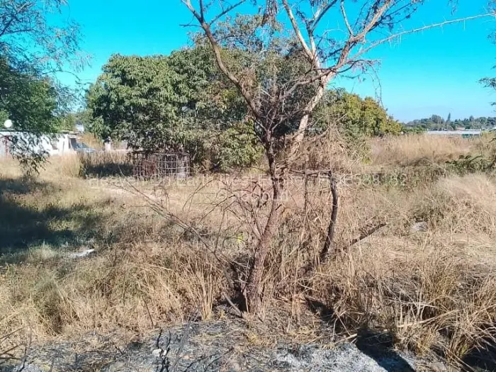 Industrial Stand for Sale in Msasa, Harare