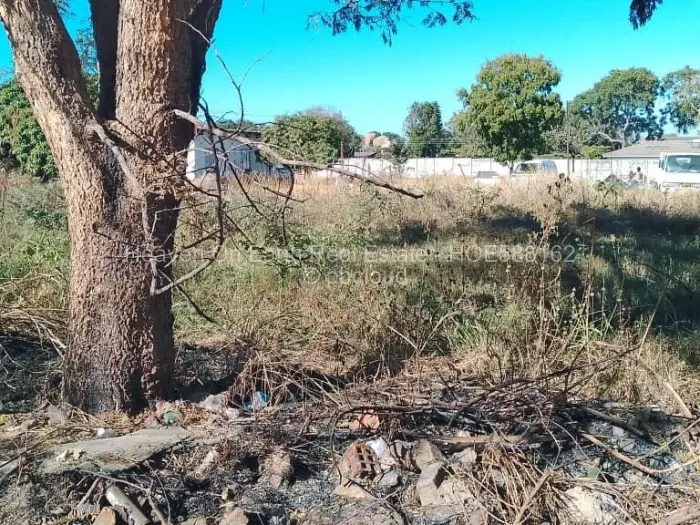 Industrial Stand for Sale in Msasa, Harare