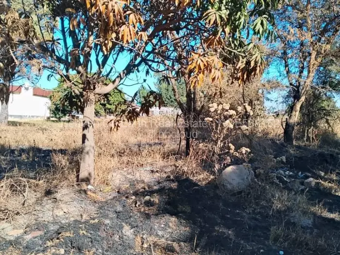 Industrial Stand for Sale in Msasa, Harare