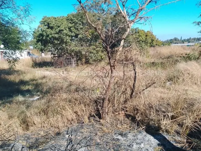 Industrial Stand for Sale in Msasa, Harare