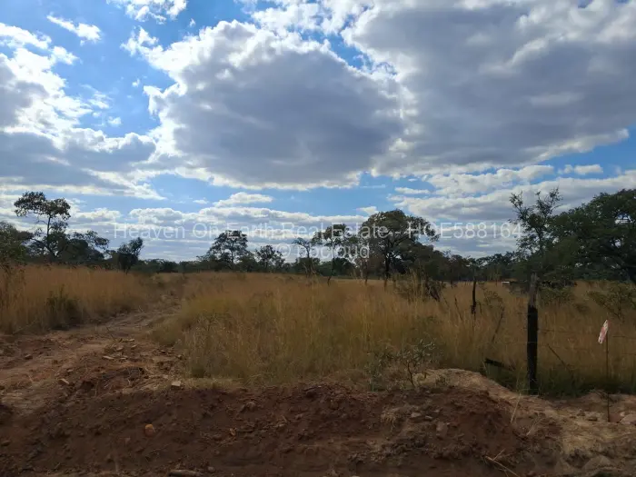 Farm/Plot for Sale in Norton, Norton