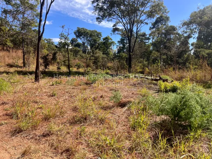 Residential Stand for Sale in Carrick Creagh Estate, Harare