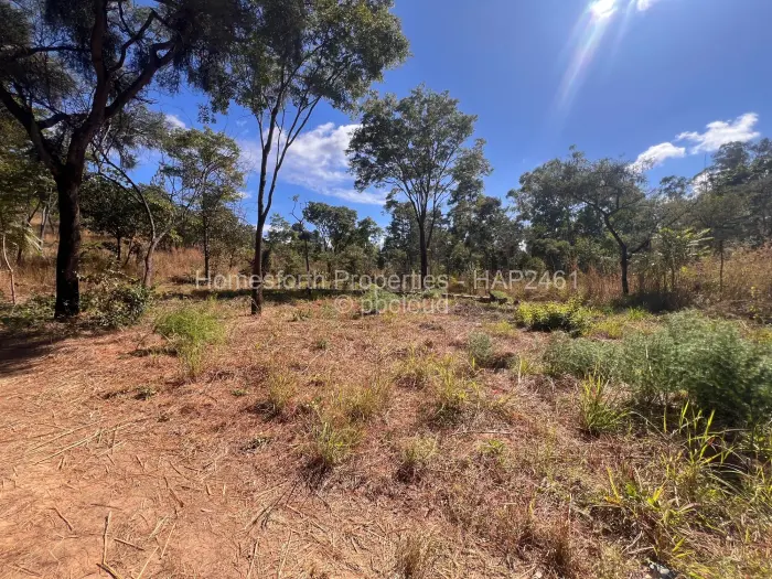 Residential Stand for Sale in Carrick Creagh Estate, Harare