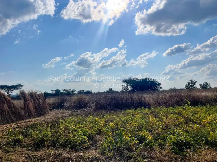 Farm/Plot for Sale in Norton, Norton