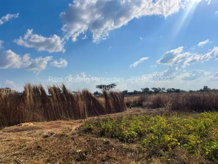 Farm/Plot for Sale in Norton, Norton