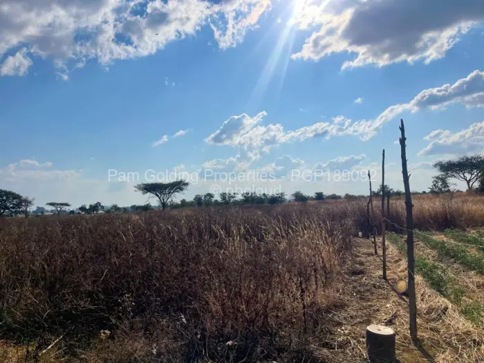 Farm/Plot for Sale in Norton, Norton