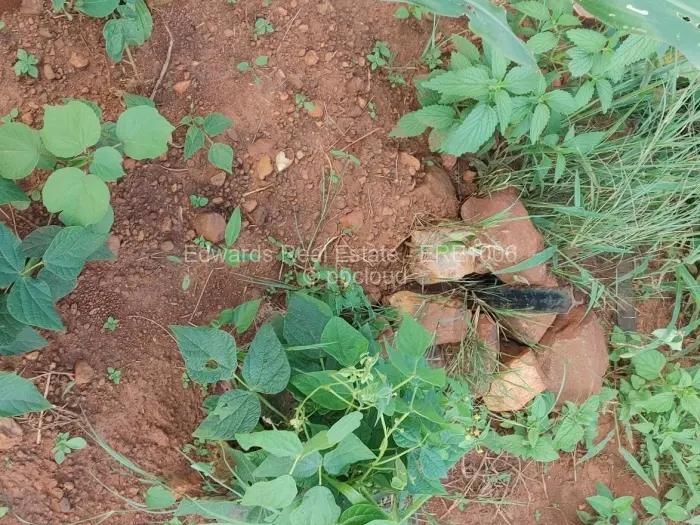 Residential Stand for Sale in Shurugwi, Shurugwi