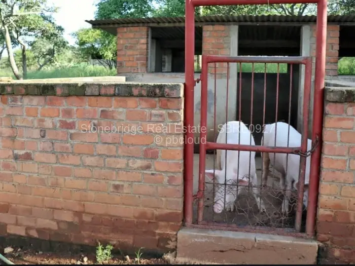 Farm/Plot for Sale in Worringham, Bulawayo