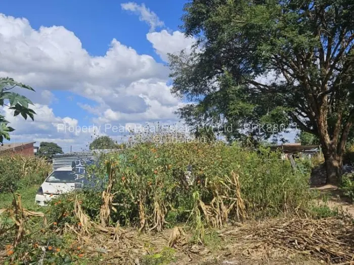 Commercial Stand for Sale in Mabvuku, Harare