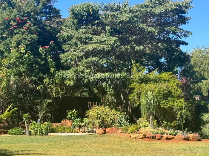 Commercial Stand for Sale in Borrowdale, Harare