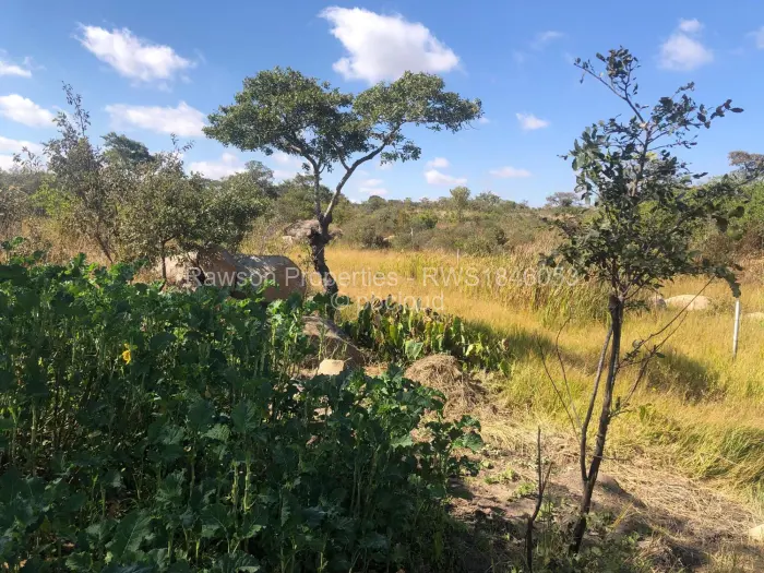 Farm/Plot for Sale in Ruwa, Ruwa