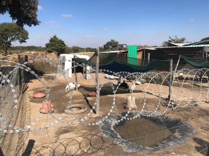 Farm/Plot for Sale in Ruwa, Ruwa