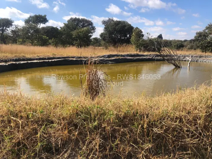 Farm/Plot for Sale in Ruwa, Ruwa