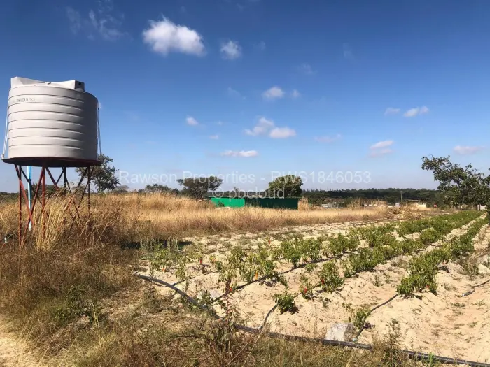 Farm/Plot for Sale in Ruwa, Ruwa