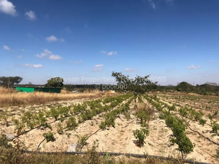 Farm/Plot for Sale in Ruwa, Ruwa
