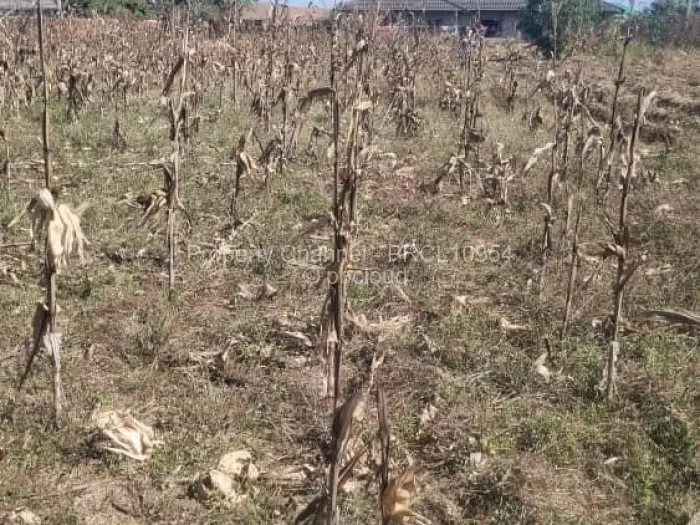 Residential Stand for Sale in Goodhope, Harare