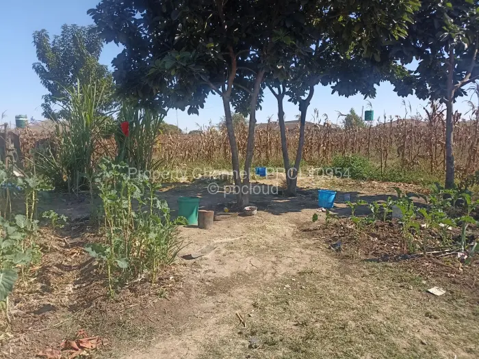 Residential Stand for Sale in Goodhope, Harare