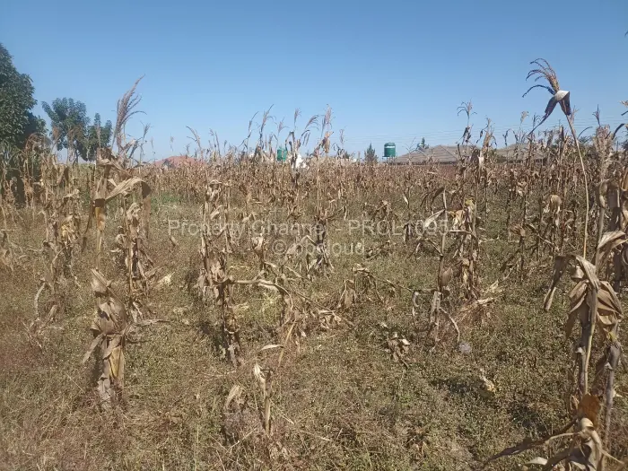 Residential Stand for Sale in Goodhope, Harare