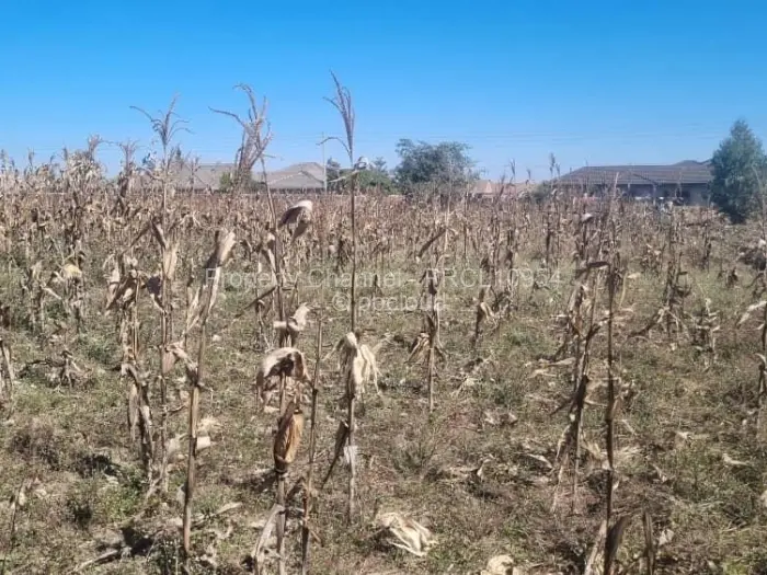 Residential Stand for Sale in Goodhope, Harare