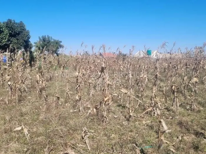 Residential Stand for Sale in Goodhope, Harare