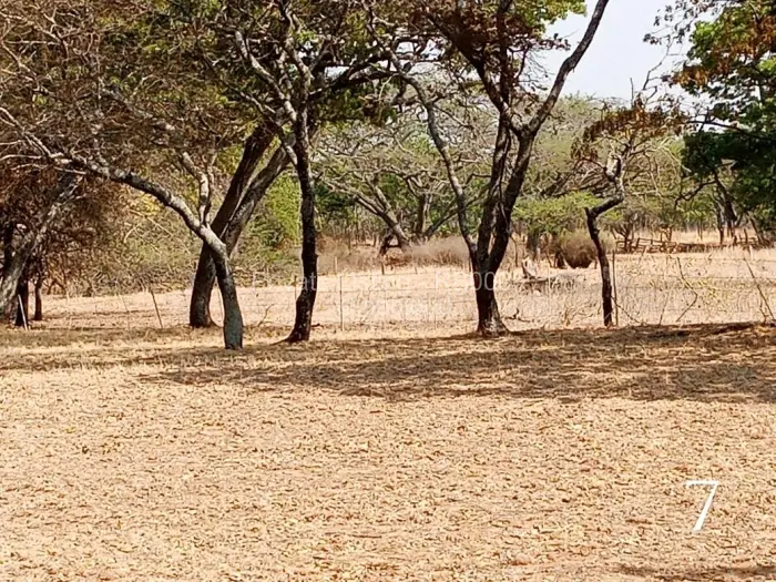 Farm to Rent in Marondera, Marondera