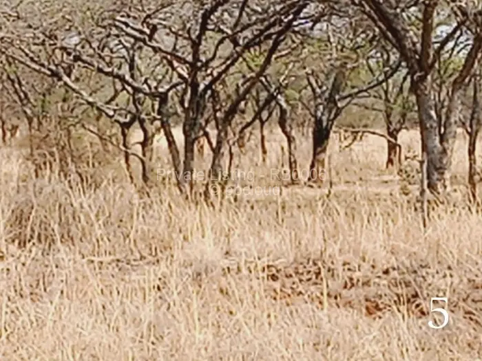 Farm to Rent in Marondera, Marondera